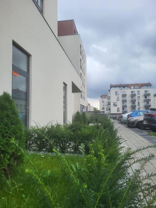 Olive Tree - Klimatyzacja - Air Conditioning-self-check-in Apartmán *