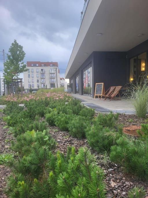 Apartmán Olive Tree - Klimatyzacja - Air Conditioning-self-check-in Katovice